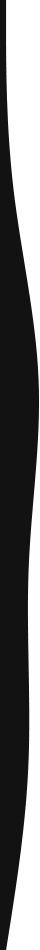 https://chickenplusjo.com/wp-content/uploads/2021/03/black-detail-left.png