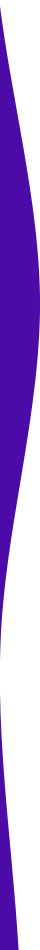 https://chickenplusjo.com/wp-content/uploads/2021/03/purple-detail-left.png