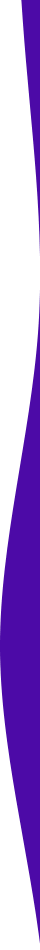 https://chickenplusjo.com/wp-content/uploads/2021/04/purple-detail-right.png
