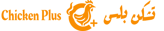 Chicken Plus | تشكن بلس